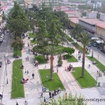DSCN1151