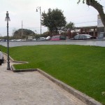 DSCN1165