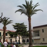 DSCN1173