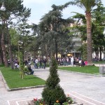 DSCN1174