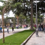 DSCN1179